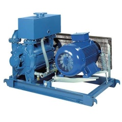 Водокольцевой вакуумный насос Robuschi LRVS30