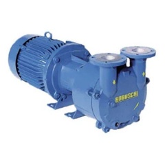Водокольцевой вакуумный насос Robuschi RVS21/SG