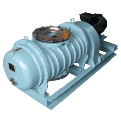 Вакуумный насос Everest EVB60