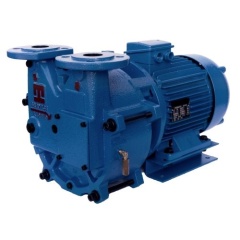 Вакуумный насос Pompetravaini TRMB 50-300