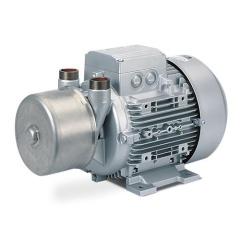 Вакуумный насос Elmo Rietschle L-BV7 2BV7 061-1AH08-4S